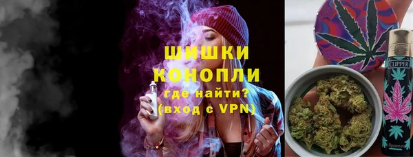 гашик Дмитриев