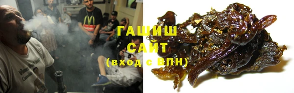 гашик Дмитриев