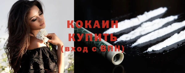 гашик Дмитриев