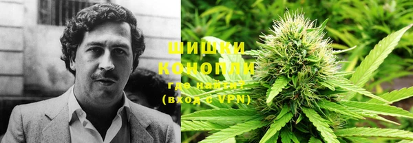 гашик Дмитриев