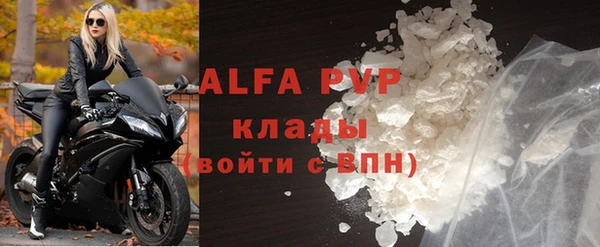 гашик Дмитриев