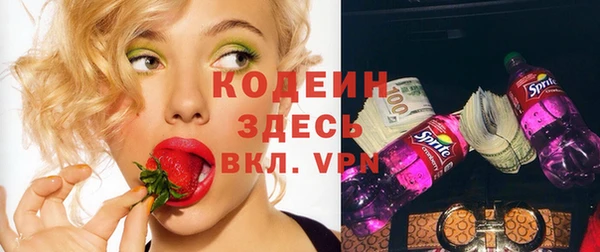 гашик Дмитриев